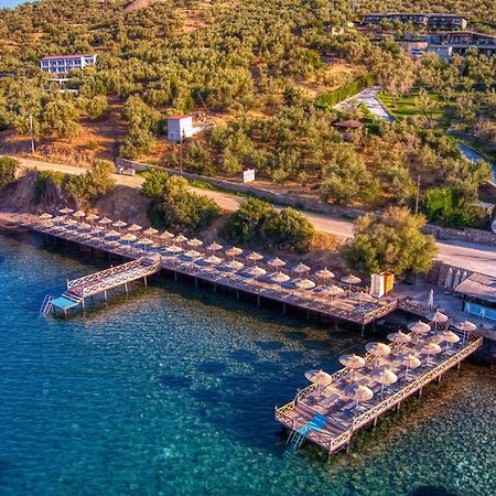 Assos Dionysos Special Class Hotel Adults Only 12 Years Kültér fotó