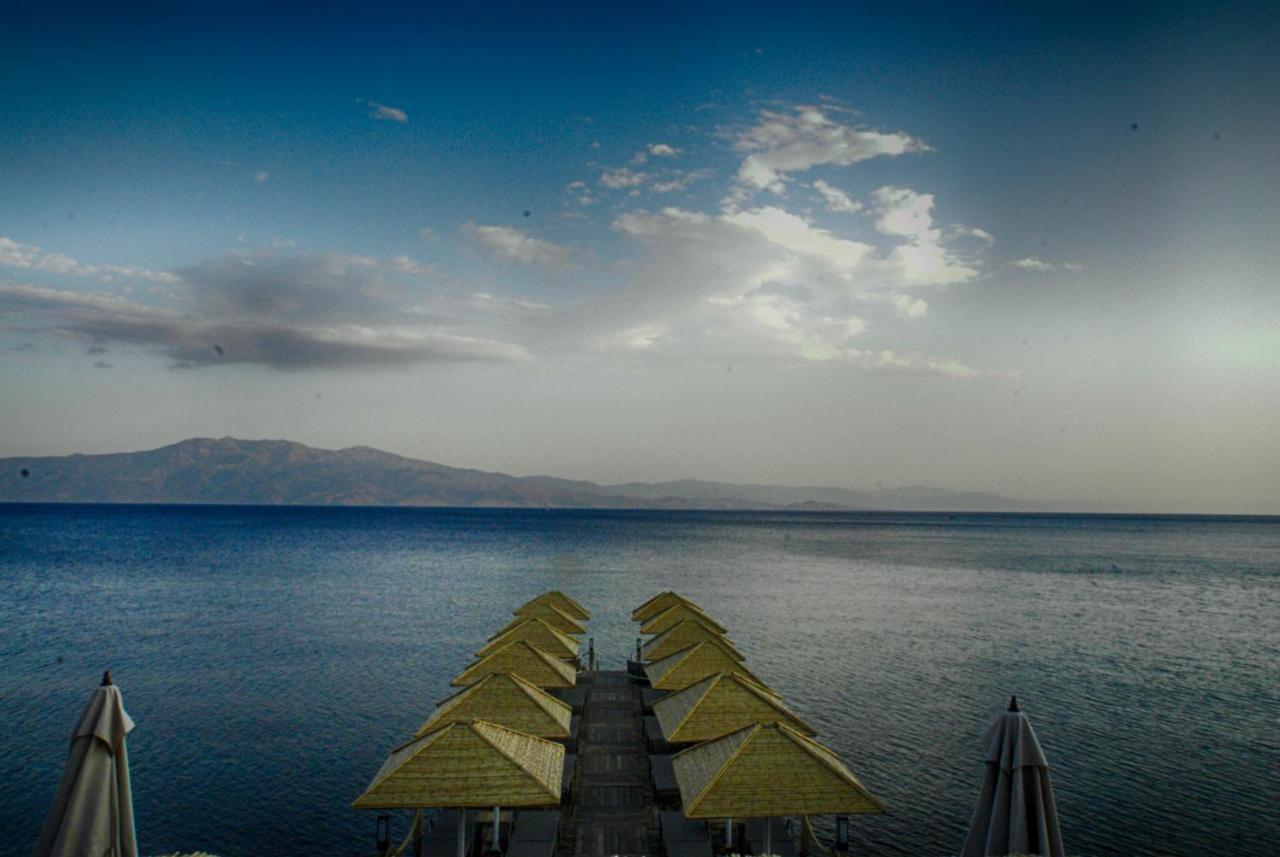 Assos Dionysos Special Class Hotel Adults Only 12 Years Kültér fotó