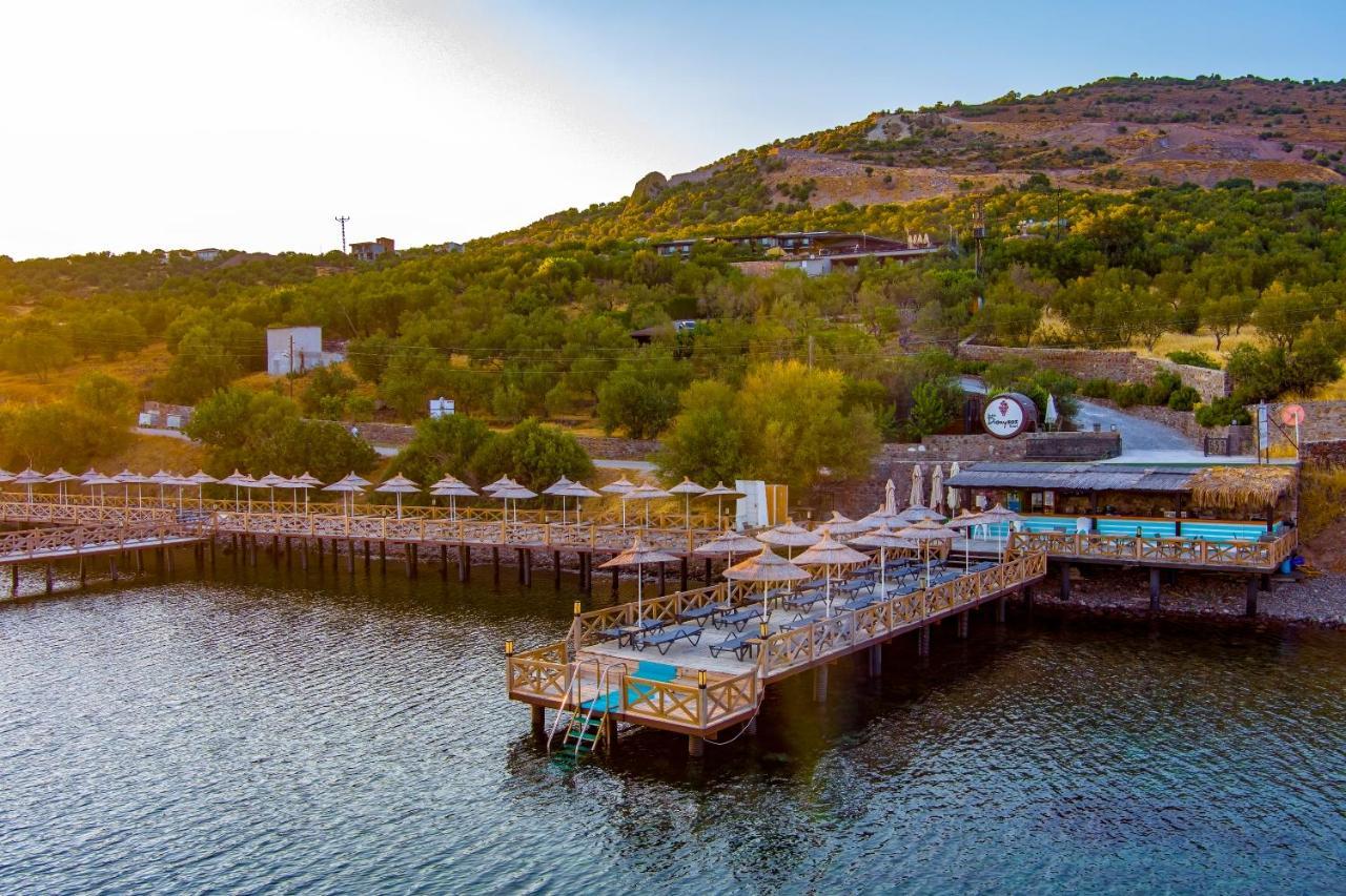 Assos Dionysos Special Class Hotel Adults Only 12 Years Kültér fotó