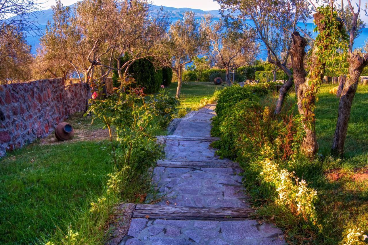 Assos Dionysos Special Class Hotel Adults Only 12 Years Kültér fotó