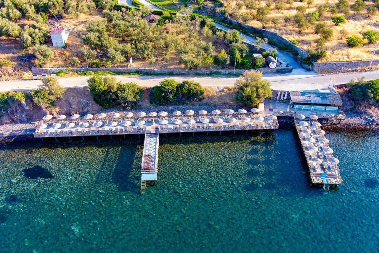 Assos Dionysos Special Class Hotel Adults Only 12 Years Kültér fotó